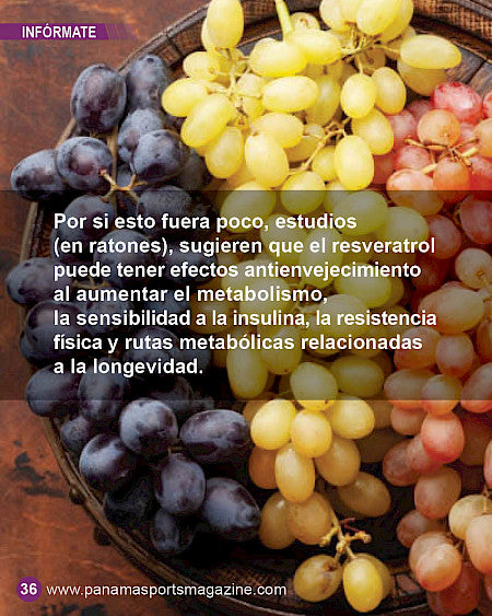 Resveratrol Top #1 En EE.UU